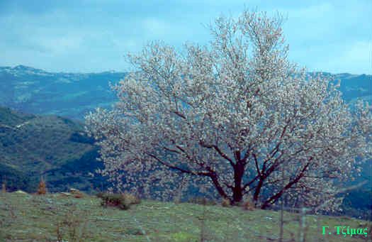 Επιστροφή